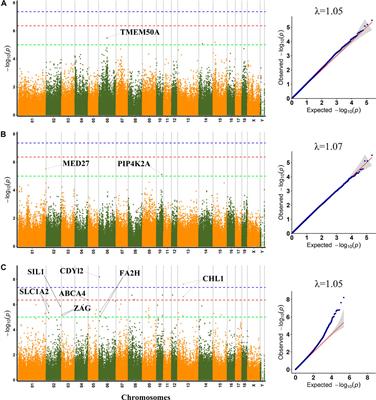 Genome-wide association study reveals genetic loci and candidate genes for meat quality traits in a four-way crossbred pig population